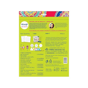 Fevicryl Lippan Art kit